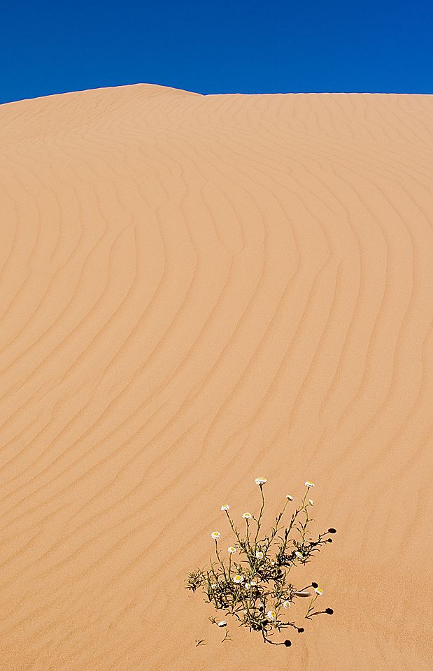 Perry Sand Hills 2.jpg